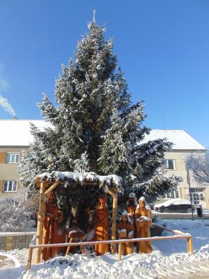 foto - vánoční strom na náměstí 5. května